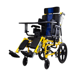 Silla de Ruedas de PCI